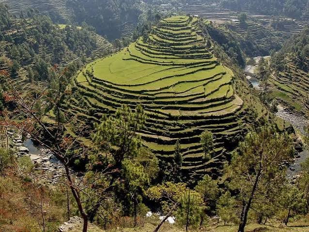 रानीखेत