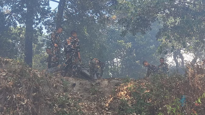 जंगलों में आग