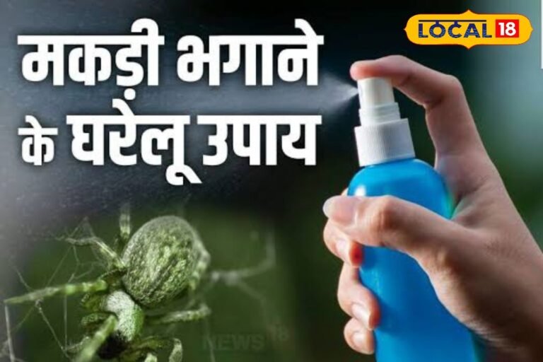 नींबू का ये फॉर्मूला मकड़ियों में भर देगा डर, नजर नहीं आएंगे जाले, हर कोना साफ