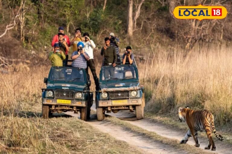 जिम कॉर्बेट पार्क में सफारी और नाइट स्टे महंगा, जान लें कितने पैसे बढ़े हैं?