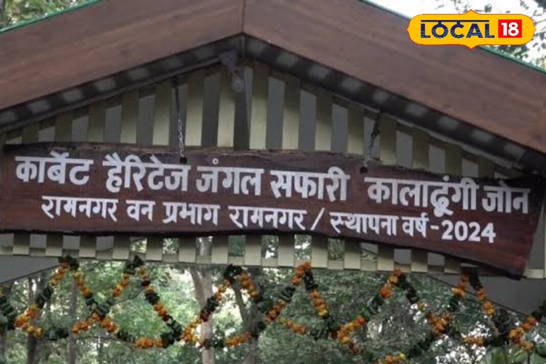 Corbett Heritage Jungle Safari: जिम कॉर्बेट की विरासत से रूबरू होने का जरिया!