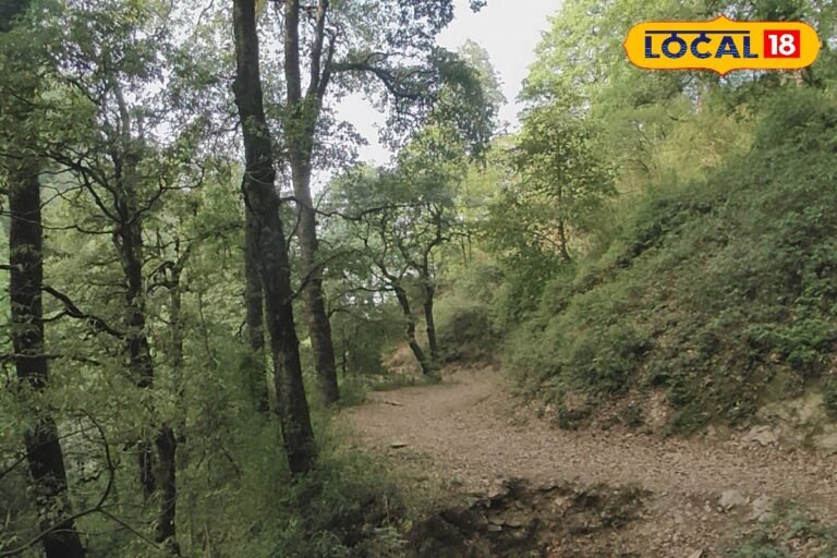 Nainital News: नैनीताल के पुराने और ऐतिहासिक ट्रैकिंग रूट्स को मिलेगा नया जीवन