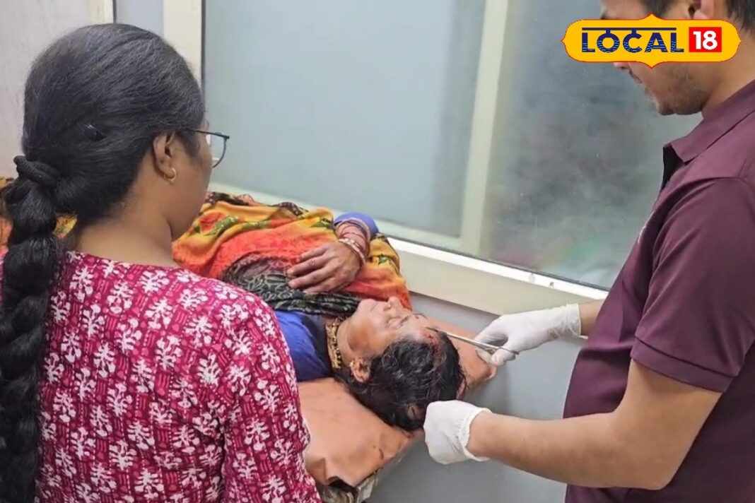 बकरी चर गई खेत... 2 महिलाओं में छिड़ी महाभारत, पड़ोसी ने किया दराती से हमला