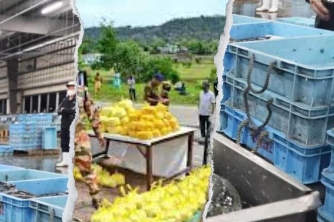उत्तराखंड के चार जिलों के किसानों ने काटी चांदी, 5 महीने में कूट दिए 2.6 करोड़