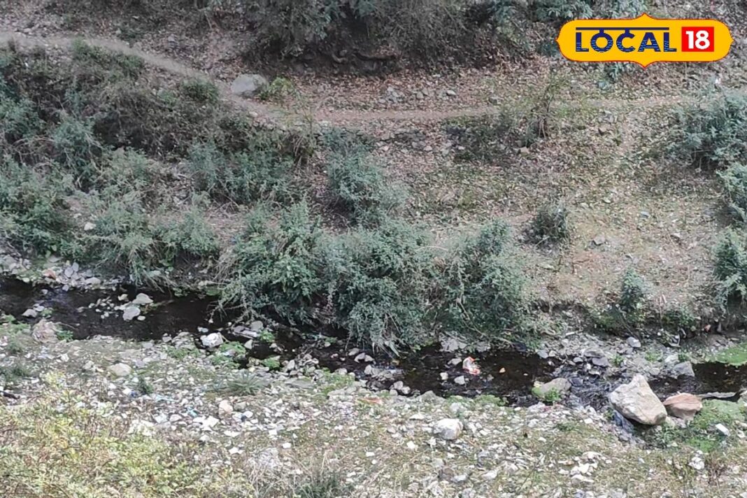 सूखी नदियों में प्राण फूंकेगी सरकार, धरा पर लाई जाएंगी 17 धाराएं, जानें प्लान