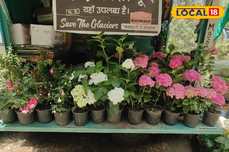 न किराया, न दुकान..बस एक वैन और फूल! पहाड़ का यह लड़का बना इंस्पिरेशन
